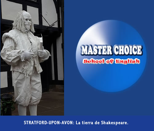 MASTER CHOICE SCHOOL